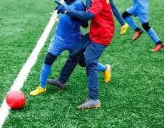 大湾区竞技,洛杉矶,第十五届全,开云体育,开云体育官网,开云体育app,开云体育平台,KAIYUN,SPORTS,kaiyun登录入口