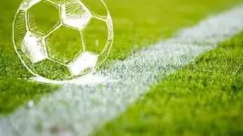 开云体育官网app 资讯 123904 ll6