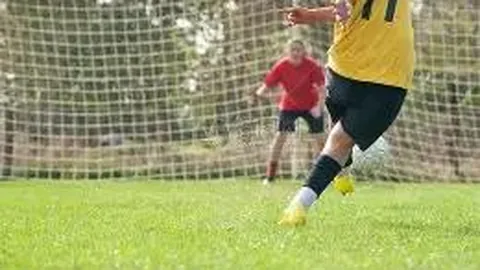 开云体育官网app 资讯 125954 scs