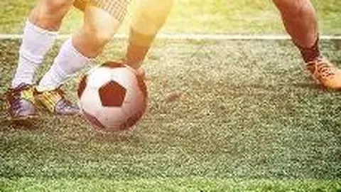 开云体育官网app 产品 095047 4li