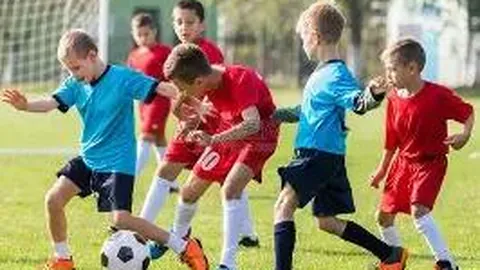 开云体育官网app 产品 095304 9z1